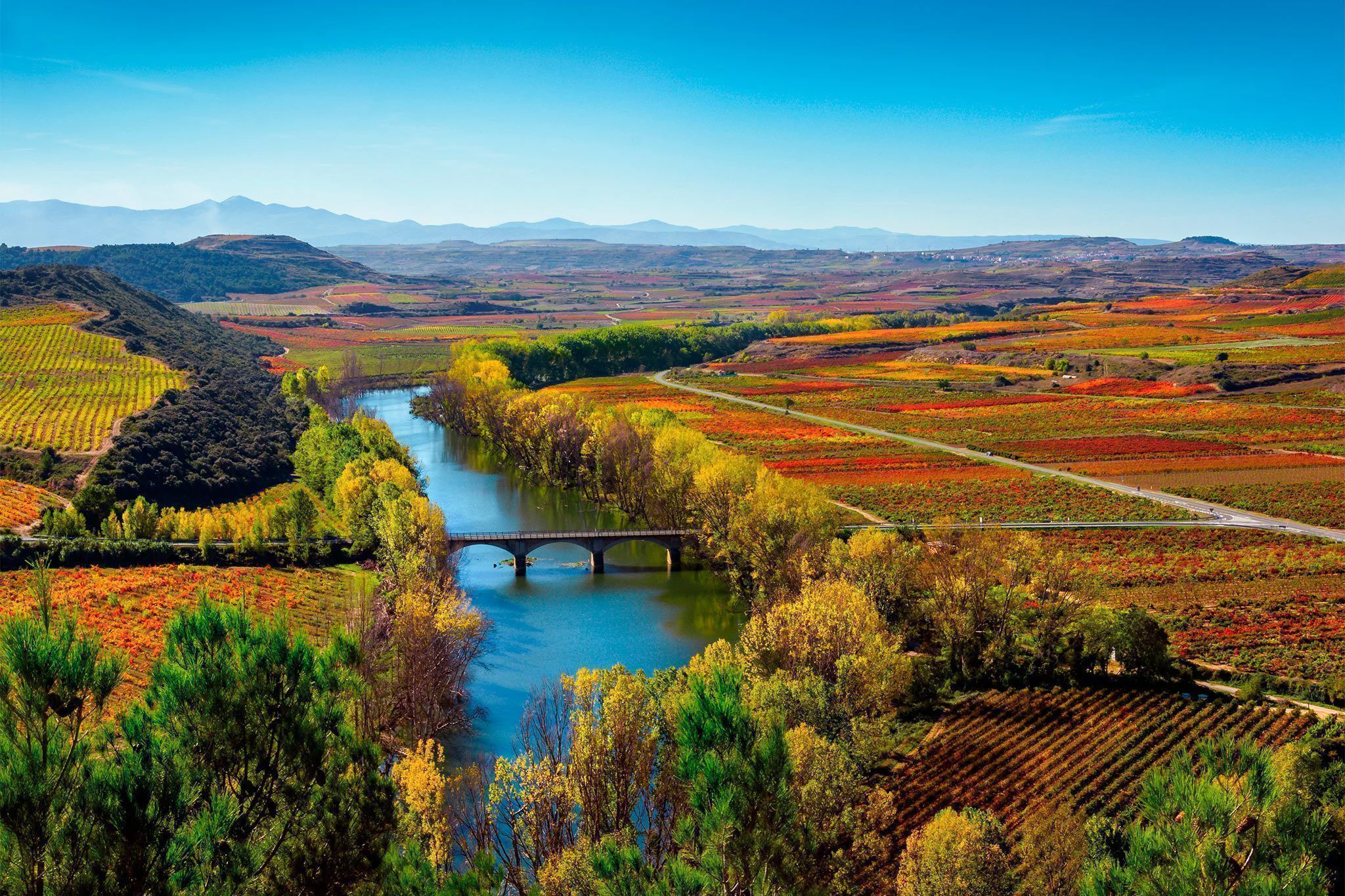 Rioja Wines, Earth Magnificence - The Ambassadors Sections<br />