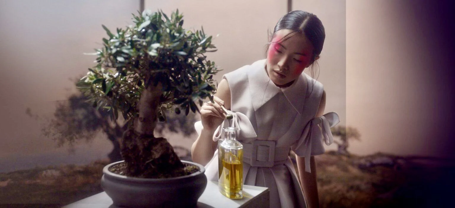 Olive Oils From Spain, Eugenio Recuenco's Campaign - National Geographic Magazine China & The Ambassadors Sections Olive Oils From Spain, Eugenio Recuenco's Campaign - National Geographic Magazine China & The Ambassadors Sections