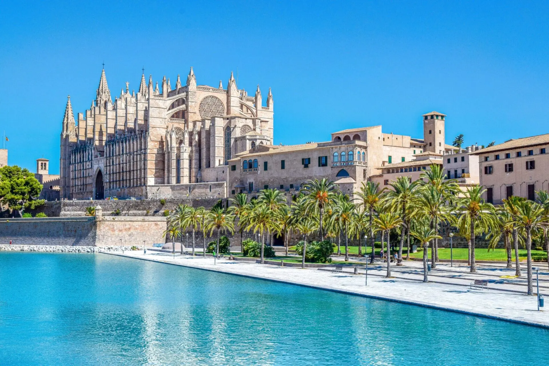 Catedral de Palma de Mallorca Buades Legal https://www.buadeslegal.com<br />The Ambassadors Sections