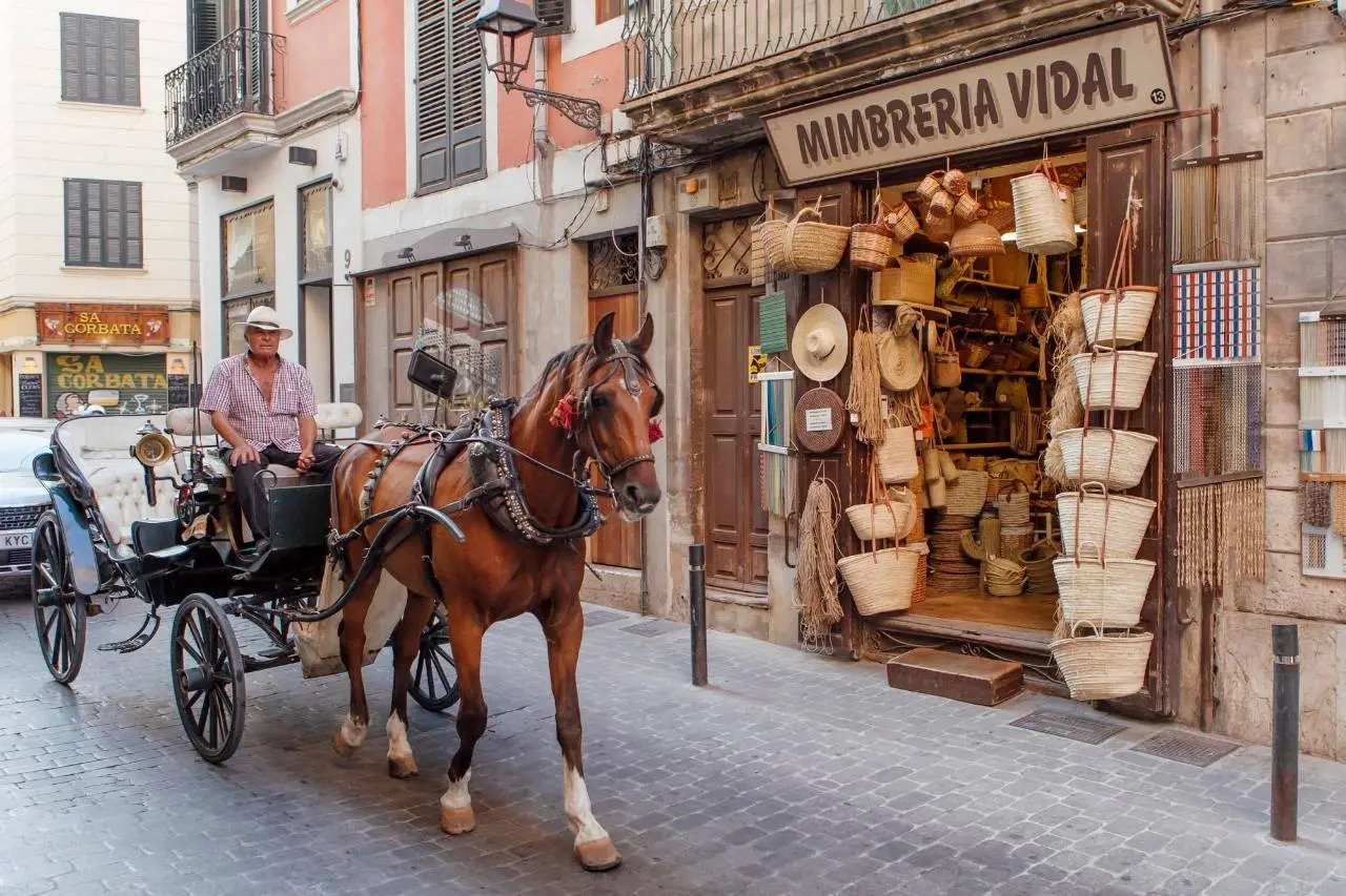 Entrevista Eduardo Soriano Torres, Presidente Cámara de Comercio de Mallorca - https://www.cambramallorca.com - The Ambassadors Sections