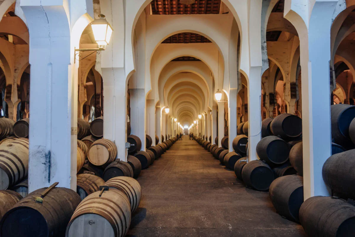Bodegas Fundador, Brandy Cathedrals - The Ambassadors Sections<br />