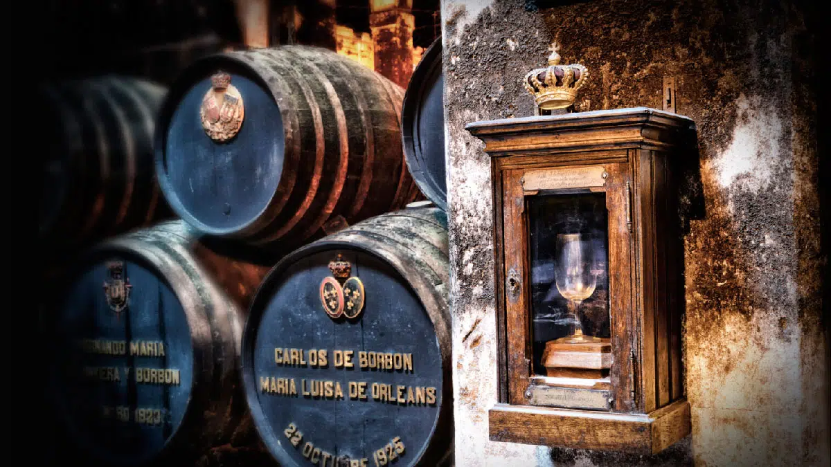 Bodegas Fundador - The Ambassadors Sections
