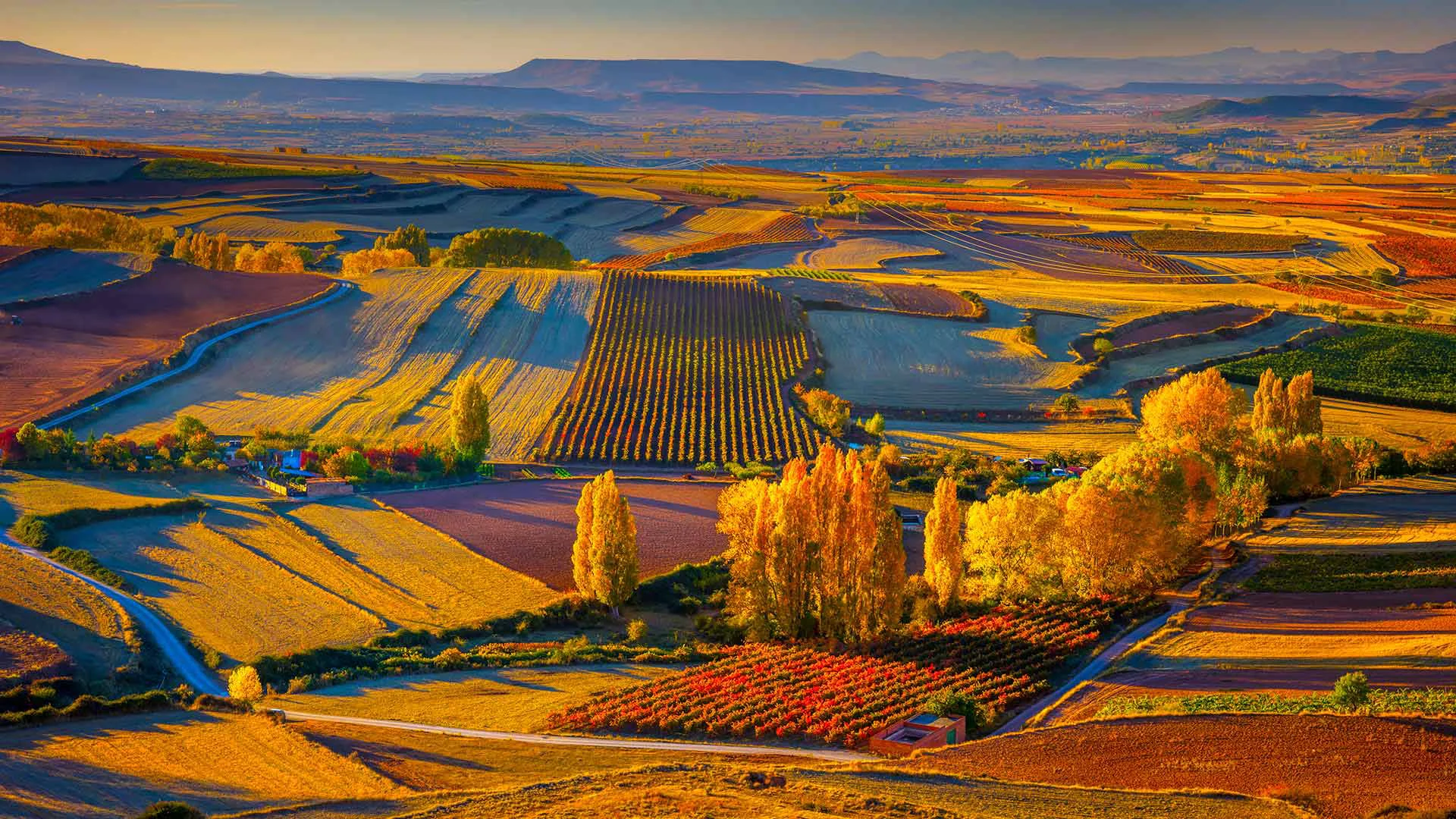 Rioja Wines, Earth Magnificence - The Ambassadors Sections