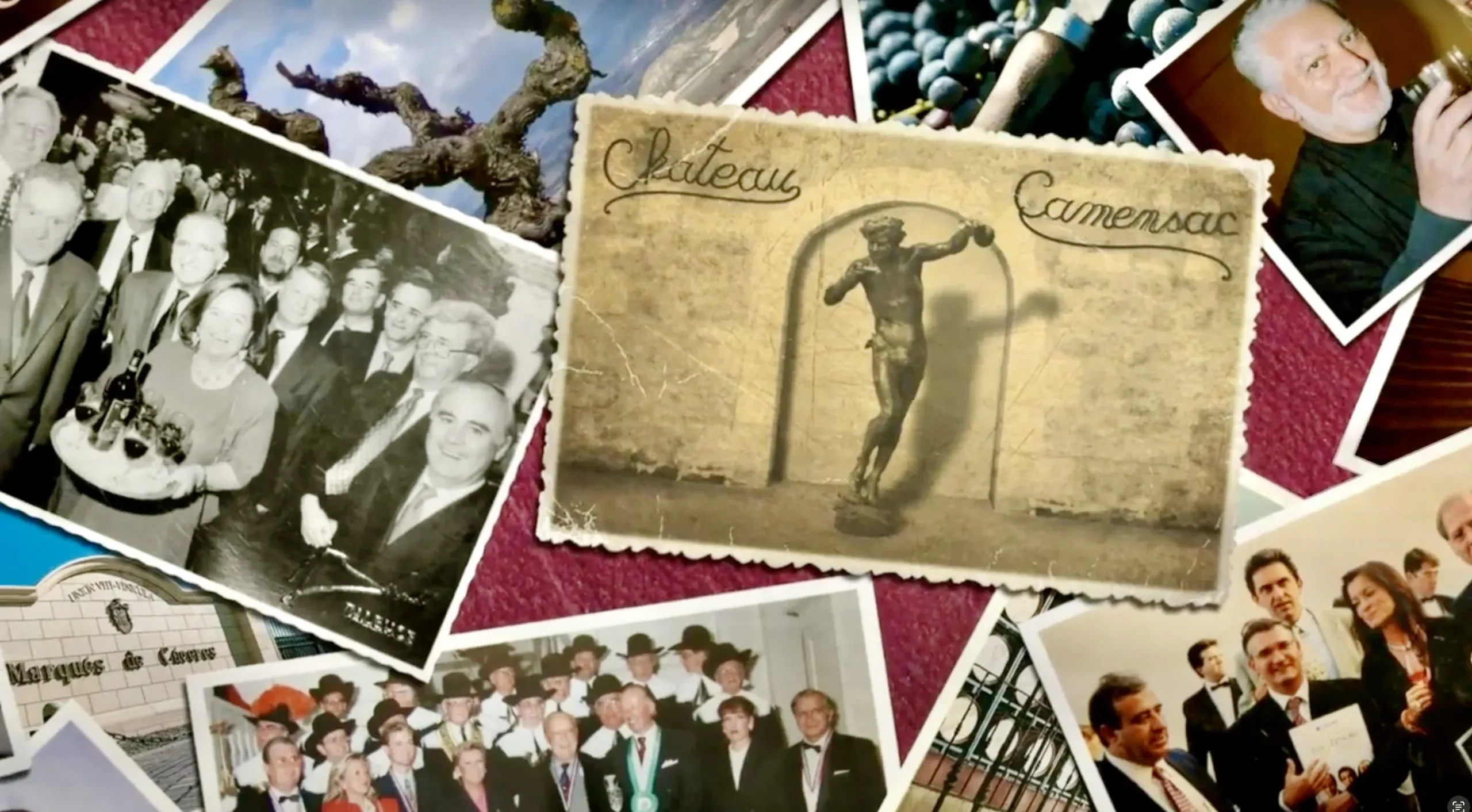 Marqués de Cáceres, Sublime Excellence - The Ambassadors Sections