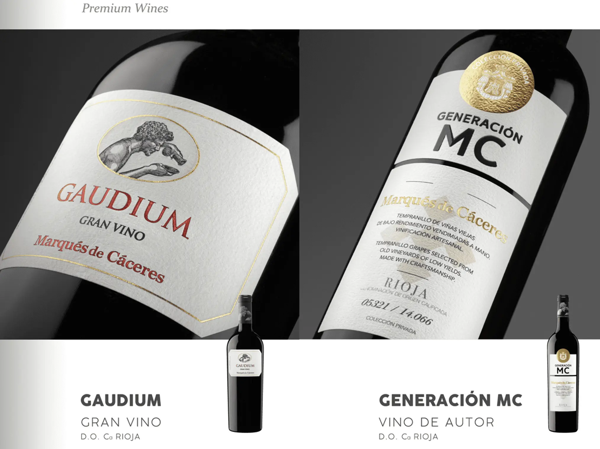 Marqués de Cáceres, Sublime Excellence - The Ambassadors Sections