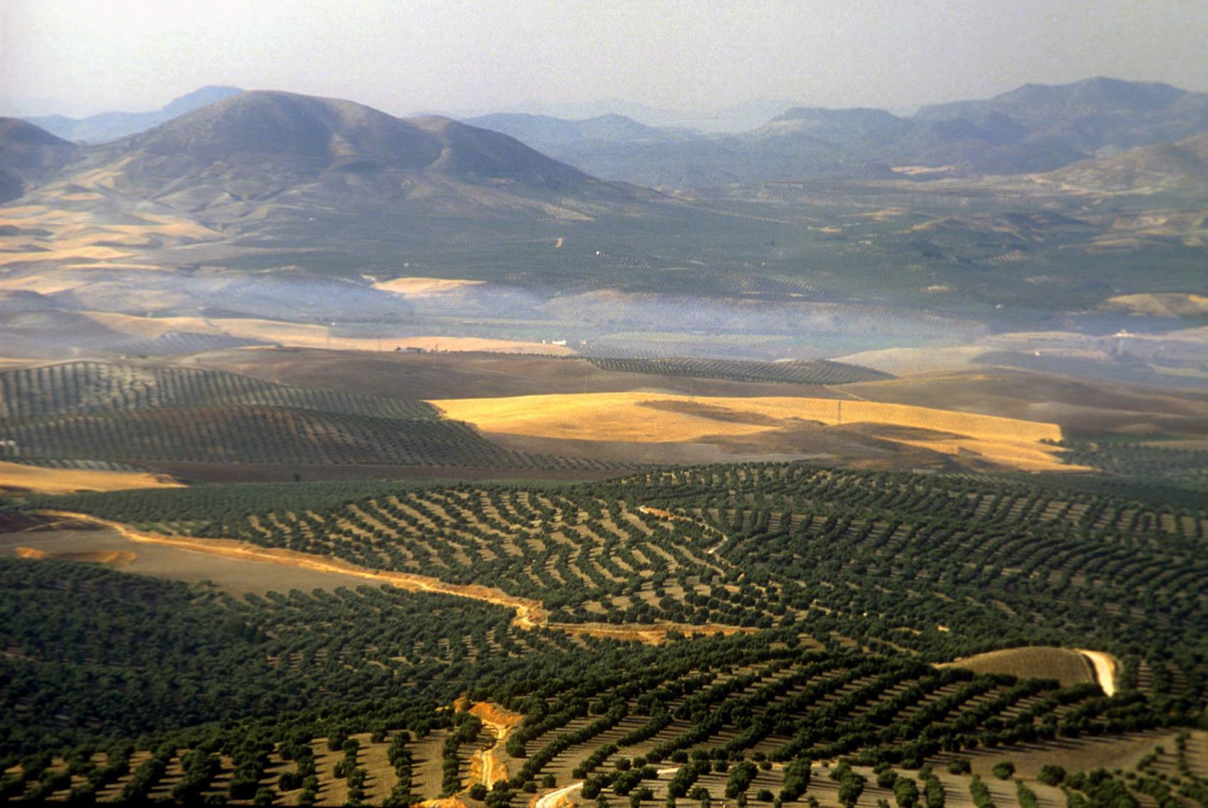 Jaén, Golden Earth - The Ambassadors Sections<br />