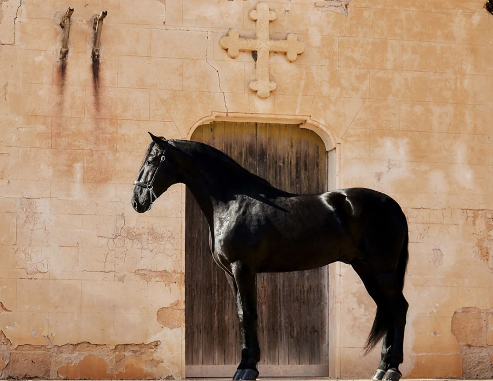 Menorca Horse Week - The Ambassadors Sections Menorca Horse Week - The Ambassadors Sections