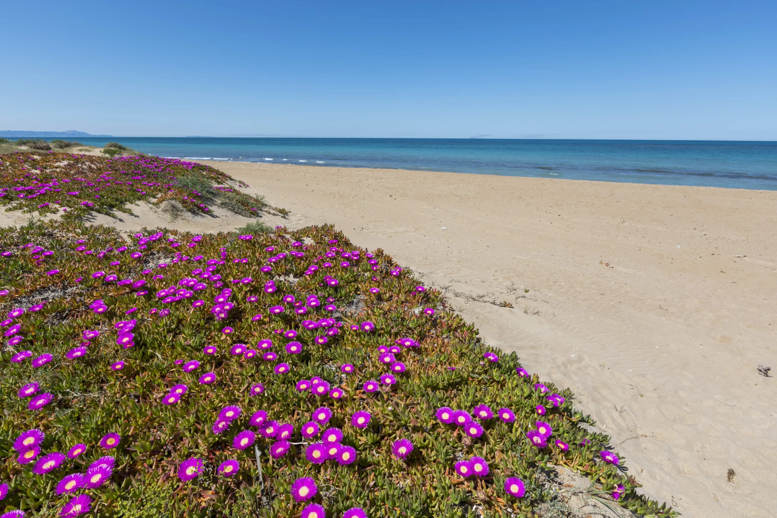 The Region of Valencia, The Exclusivity of the Authentic - The Ambassadors Sections<br />