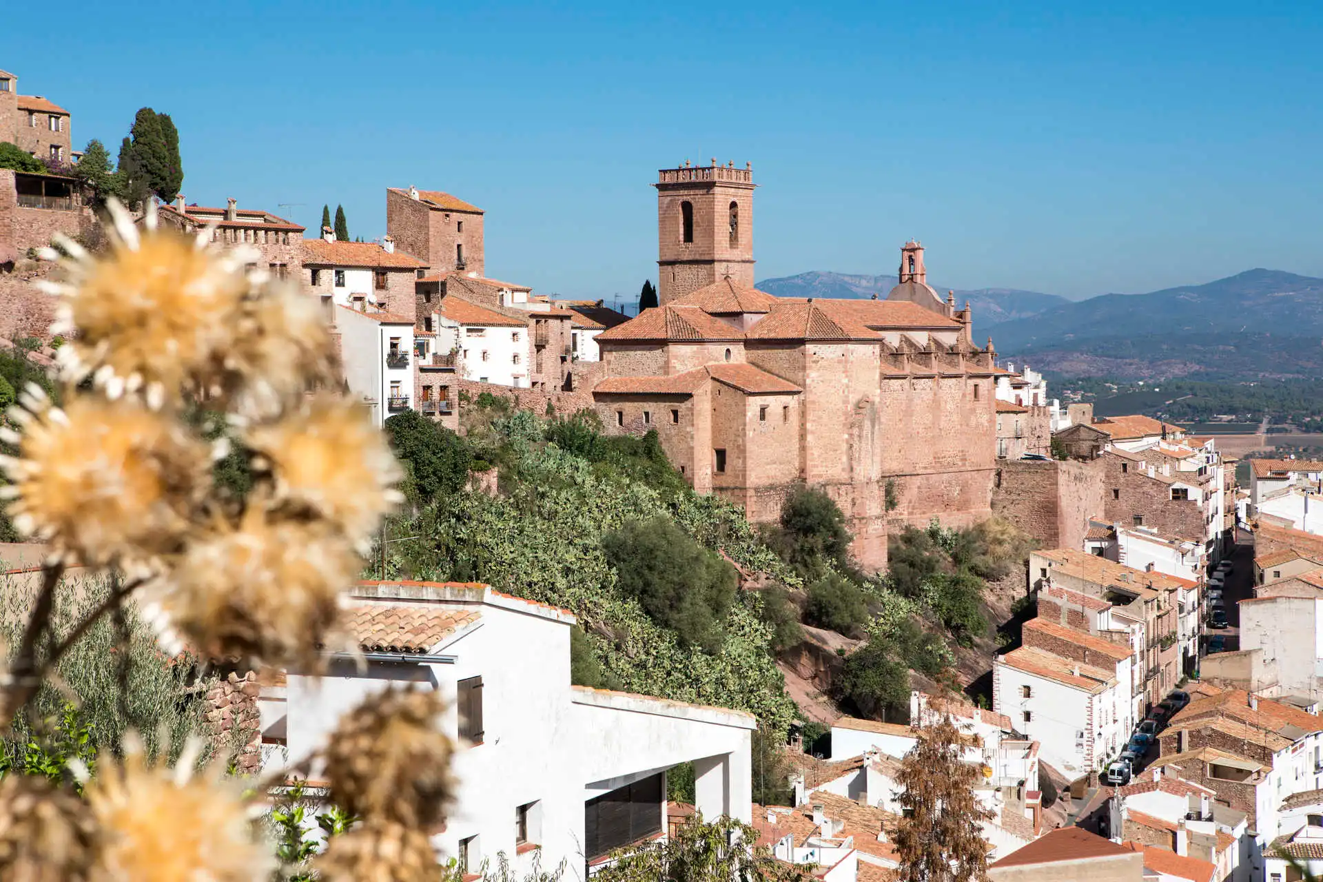 The Region of Valencia, The Exclusivity of the Authentic - The Ambassadors Sections<br />