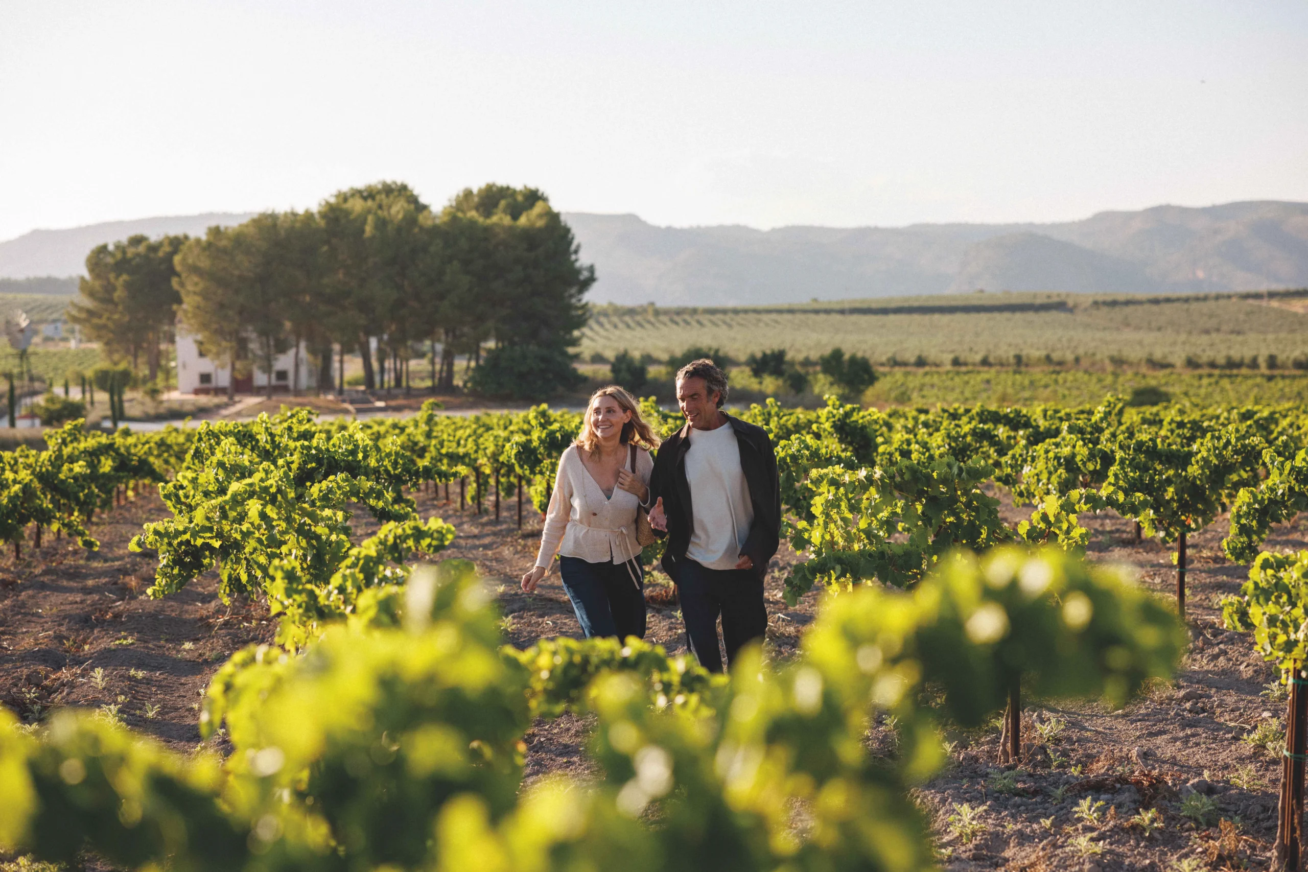 The Region of Valencia, The Exclusivity of the Authentic - The Ambassadors Sections<br />