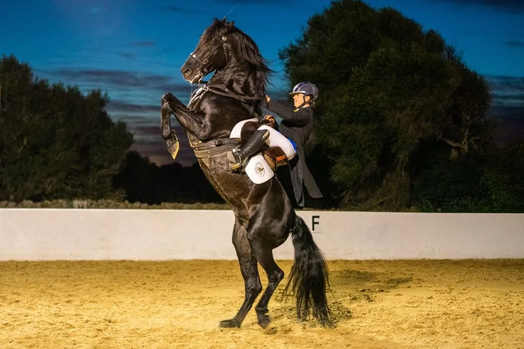 Tolo Mercadal, Presidente de la Asociación de Criadores y  Propietarios de Caballos de Raza Menorquina - The Ambassadors Sections<br />https://nasta-one.com/the-ambassadors-sections/ 