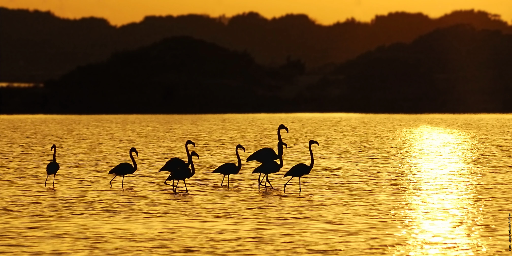 Formentera, Balearic Islands Sustainable Excellence<br />Óscar Portas Juan,<br />Presidente del Consell Insular de Formentera<br />The Ambassadors Sections<br />https://nasta-one.com/the-ambassadors-sections/ 