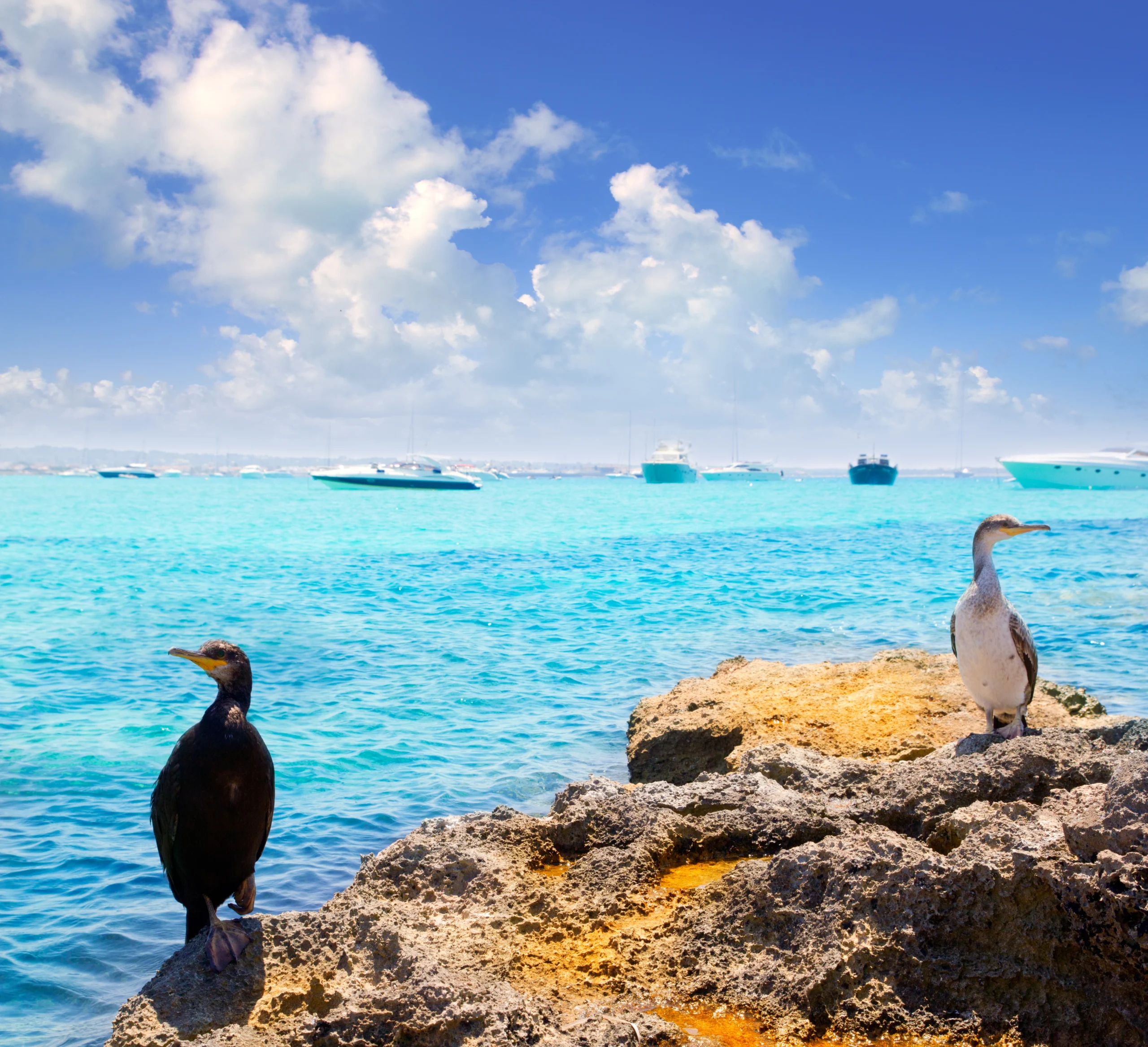 Formentera, Balearic Islands Sustainable Excellence<br />Óscar Portas Juan,<br />Presidente del Consell Insular de Formentera<br />The Ambassadors Sections<br />https://nasta-one.com/the-ambassadors-sections/ 