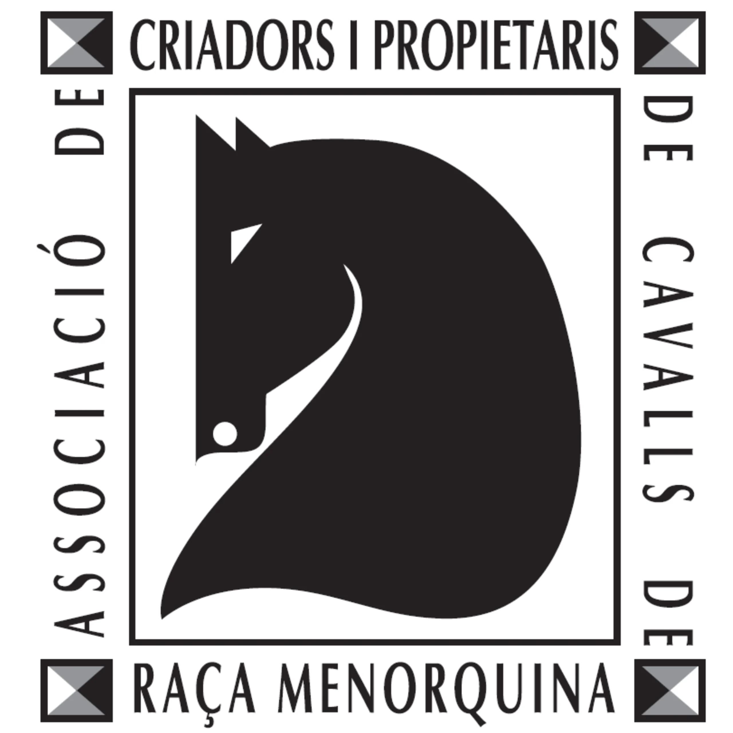 Interview with Tolo Mercadal, President of the Association of Menorquin Horse Breeders and Owners - The Ambassadors Sections, 2026 Edition Interview with Tolo Mercadal, President of the Association of Menorquin Horse Breeders and Owners - The Ambassadors Sections, 2026 Edition