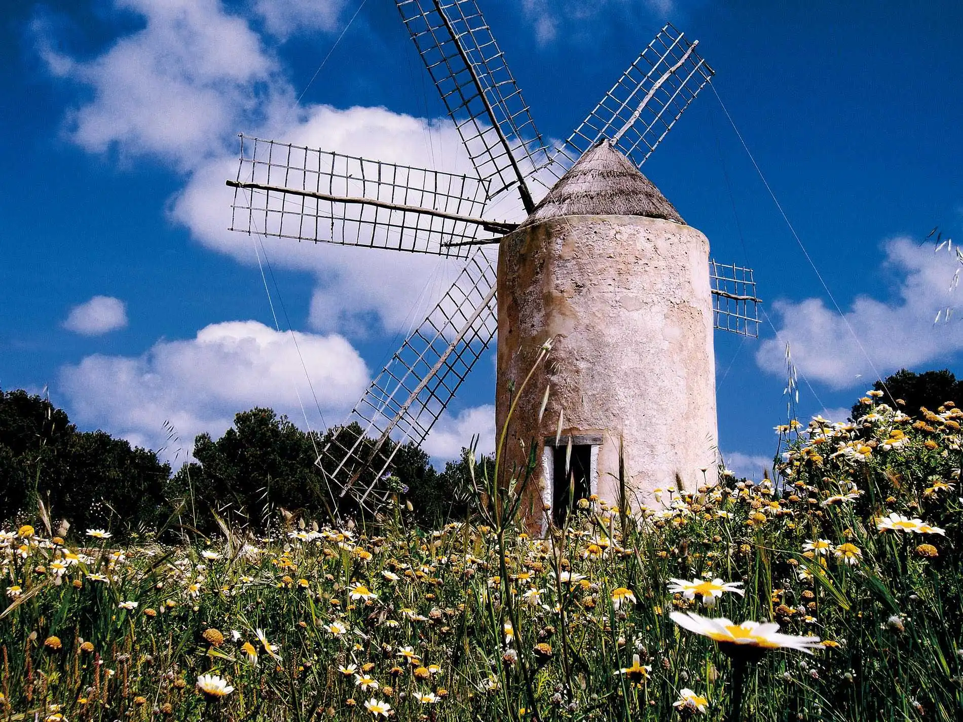 Formentera, Balearic Islands Sustainable Excellence Óscar Portas Juan, Presidente del Consell Insular de Formentera The Ambassadors Sections  https://nasta-one.com/the-ambassadors-sections/