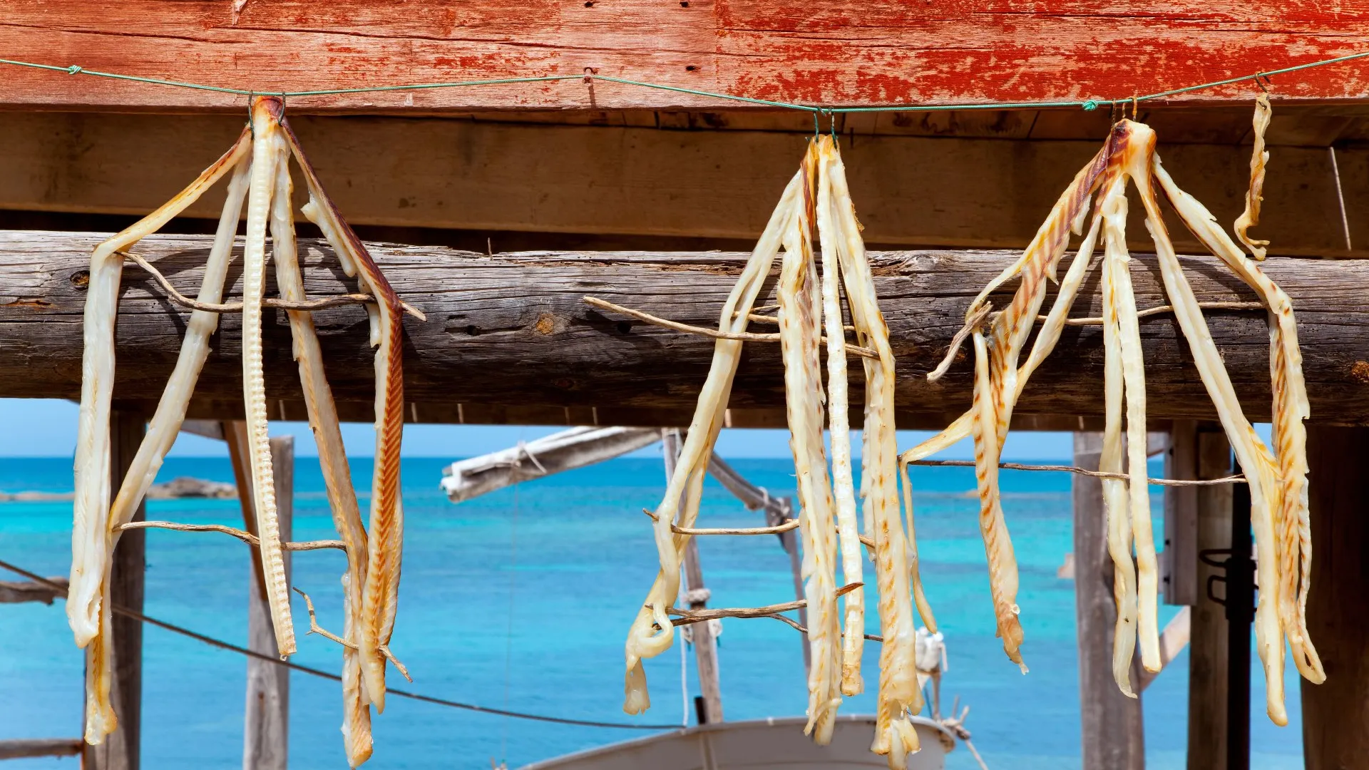 Formentera, Balearic Islands Sustainable Excellence Óscar Portas Juan, Presidente del Consell Insular de Formentera The Ambassadors Sections  https://nasta-one.com/the-ambassadors-sections/