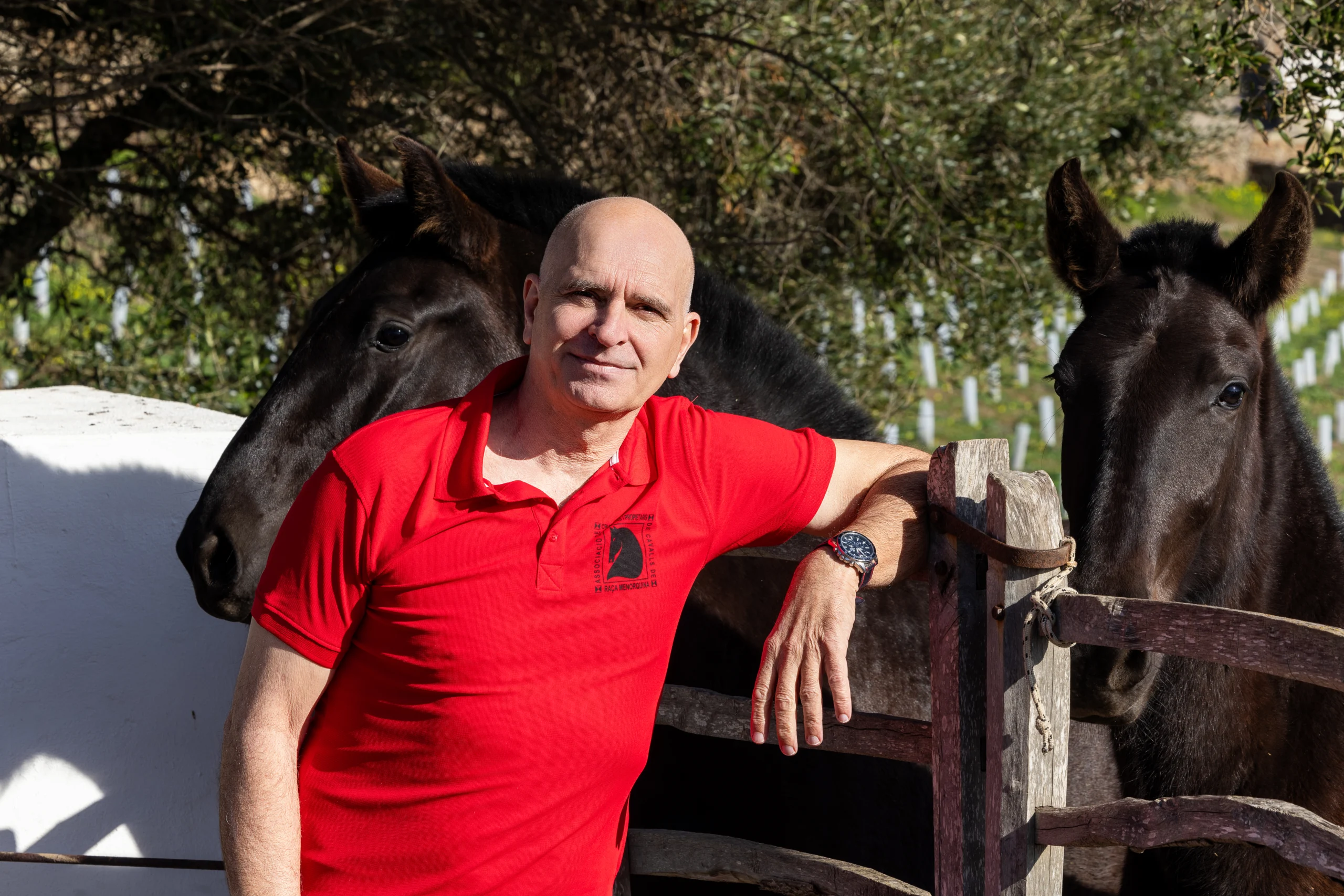 Tolo Mercadal, Presidente de la Asociación de Criadores y Propietarios de Caballos de Raza Menorquina - The Ambassadors Sections https://nasta-one.com/the-ambassadors-sections/