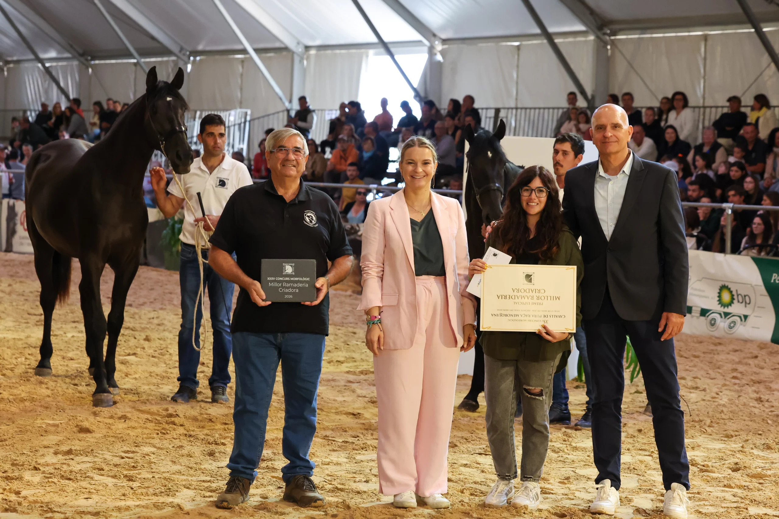 Tolo Mercadal, Presidente de la Asociación de Criadores y Propietarios de Caballos de Raza Menorquina - The Ambassadors Sections https://nasta-one.com/the-ambassadors-sections/