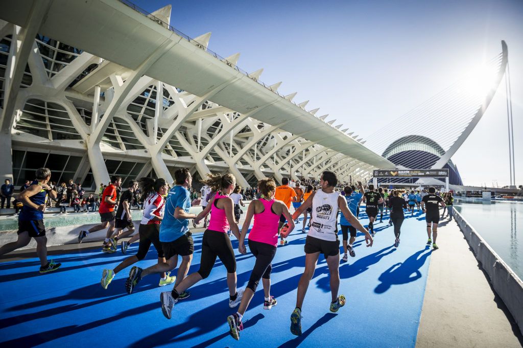 Diputación de Valencia, The Ambassadors Sections